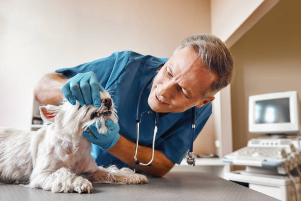Best Emergency Dental Surgery in Oakland, NE